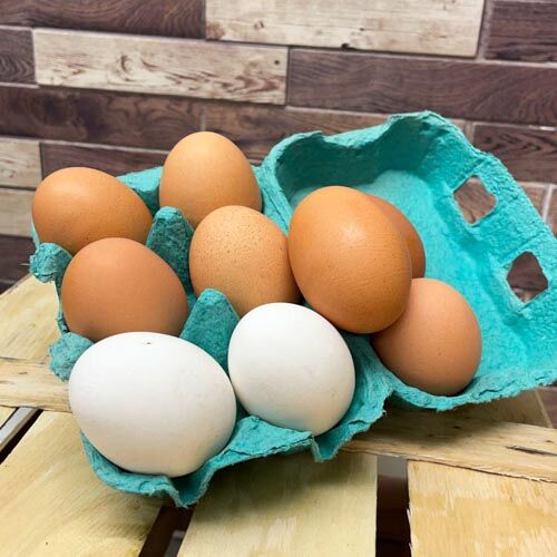 Weide-Eier, Freiland aus Geisenfeld (10 er Pack) – Bild 1