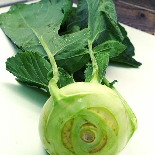 Kohlrabi – Bild 1