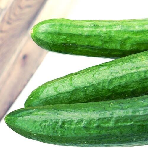 Salatgurken – Bild 1