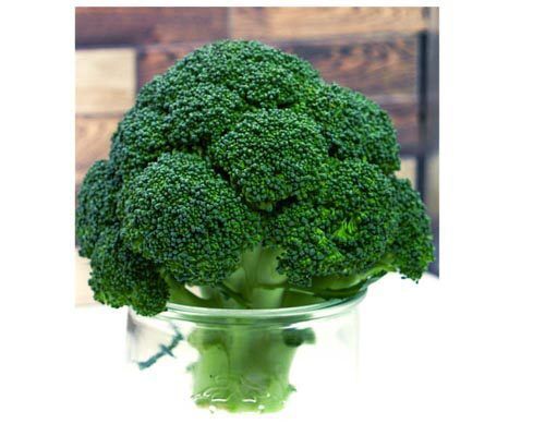 5.1 Brokkoli – Bild 1