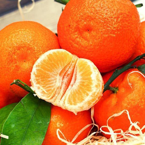 Clementinen_3 Clementinen – Bild 1