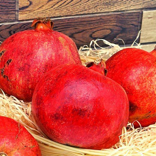 Granatapfel_1 Granatapfel – Bild 1