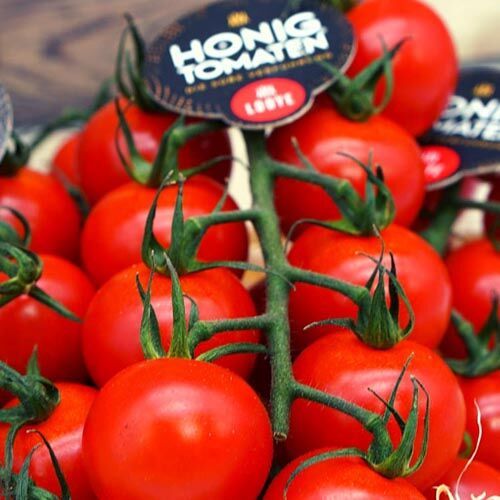Honigtomaten – Bild 1