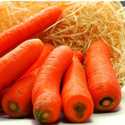 Karotten, lose – Bild 1