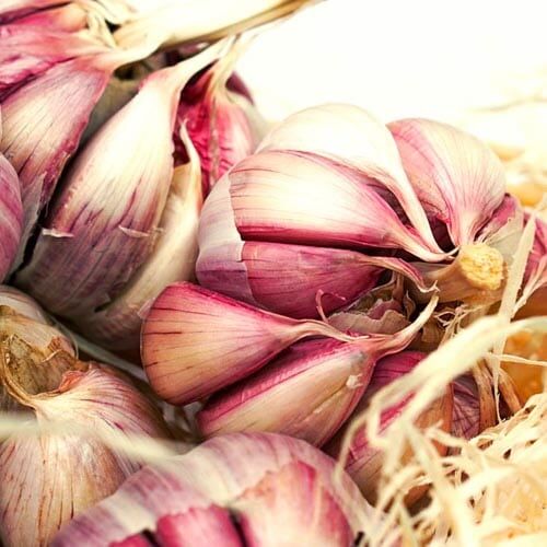 Getrockneter Knoblauch, rose – Bild 1