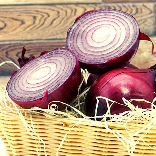 Rotschalige Zwiebeln – Bild 1