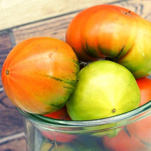 Sardische_Tomaten_3 Sardische Tomaten – Bild 1