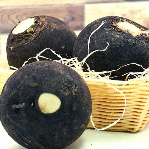 Schwarzer Rettich – Bild 1