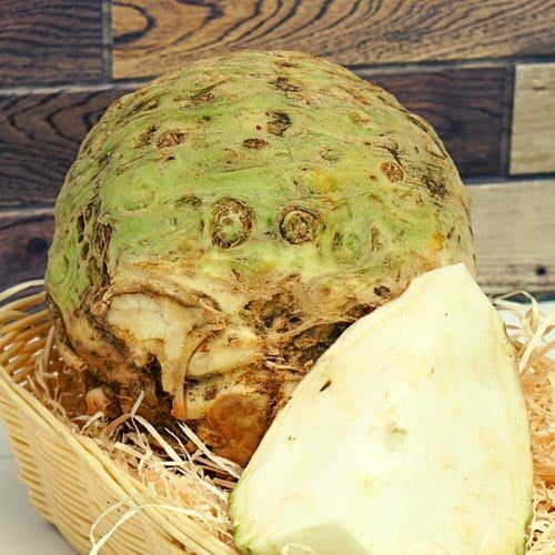 Knollensellerie – Bild 1