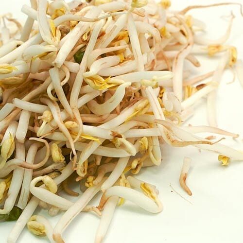 Sojasprossen_3 Sojasprossen (Mungo) – Bild 1