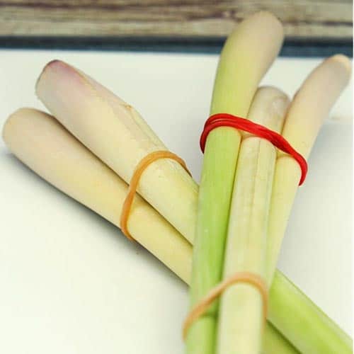 Zitronengras – Bild 1