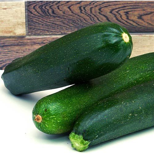Zucchini, BIO – Bild 1