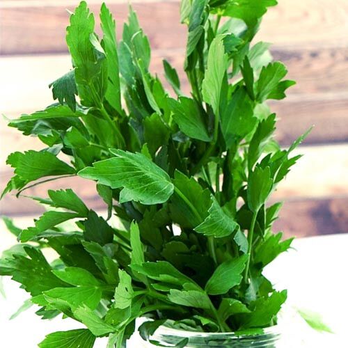 Liebstöckel, Bundware – Bild 1