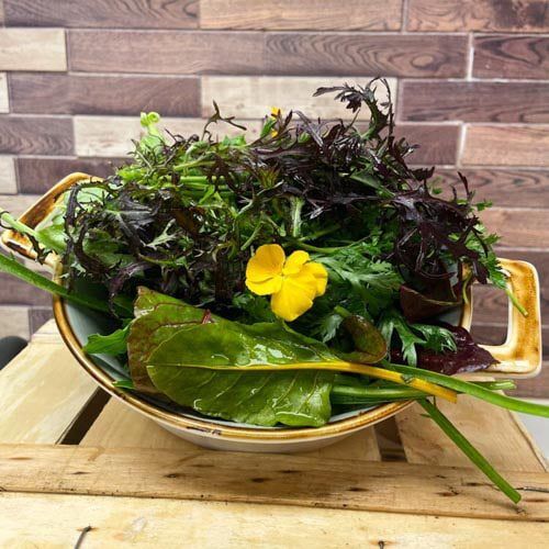 Wildkräutersalat – Bild 1