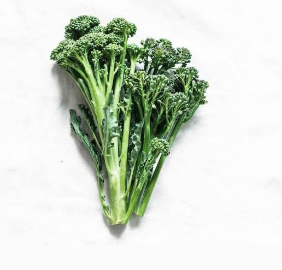 Brokkoletti-Bund – Bild 1