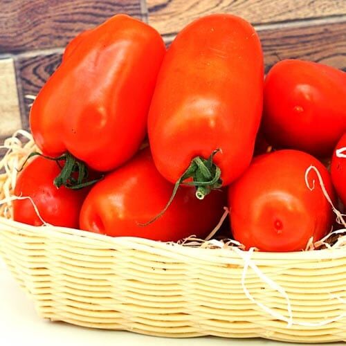 San Marzano /Eiertomaten – Bild 1