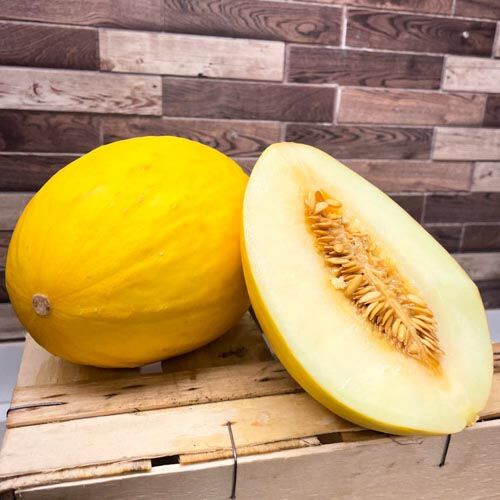 Honigmelone – Bild 1
