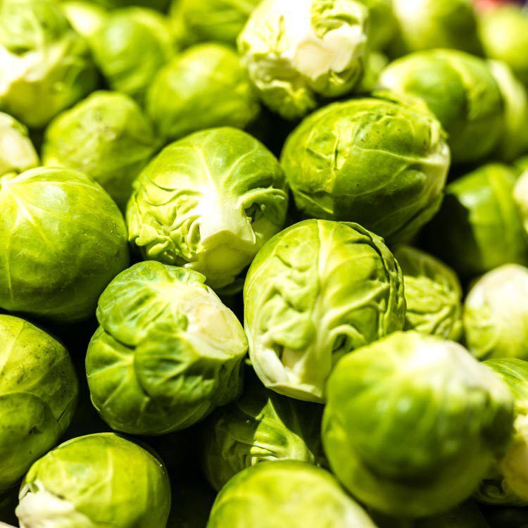 Rosenkohl – Bild 1