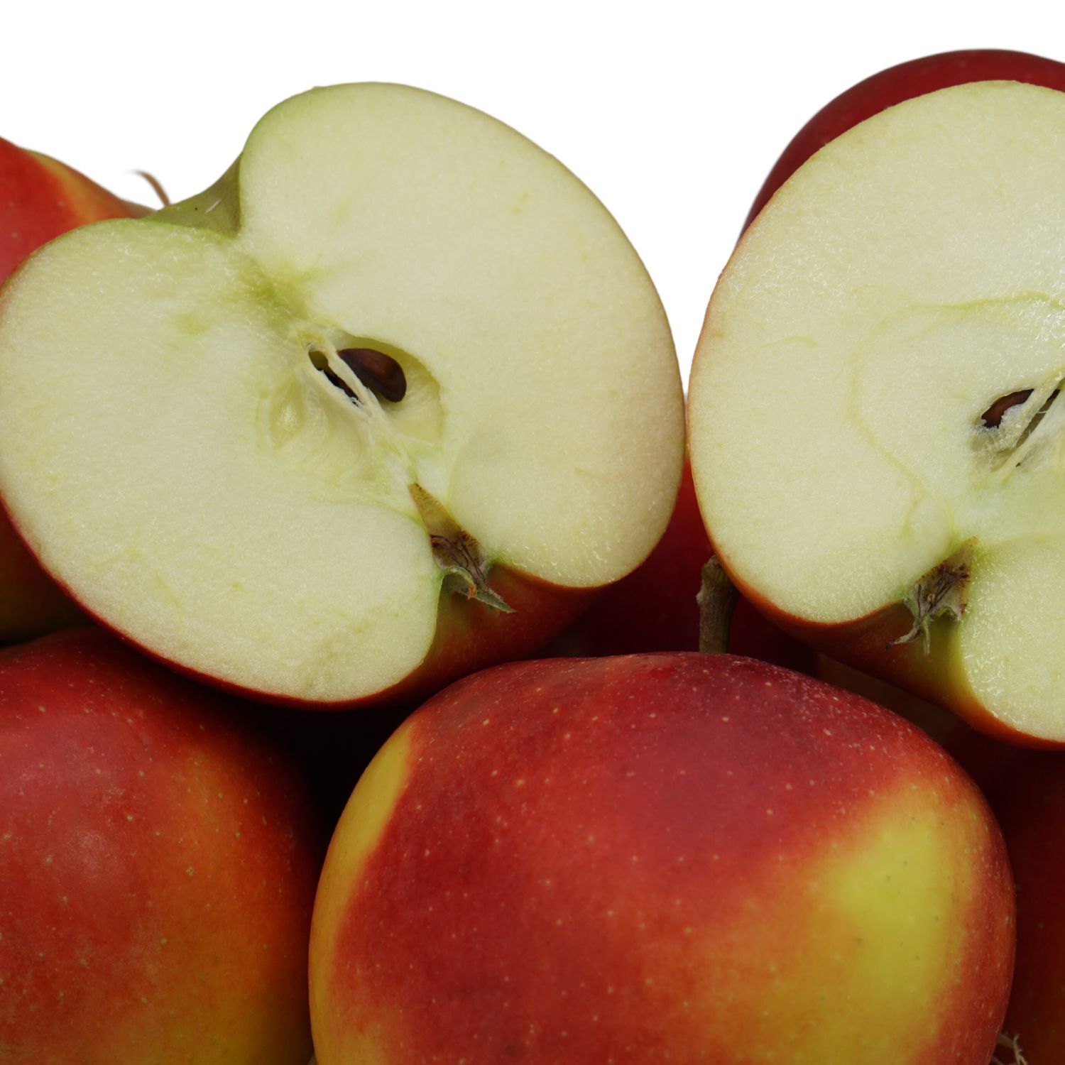 Elstar Apfel – Bild 1