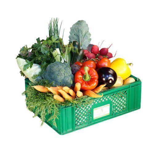 Veggie Box Family Veggie-Box Family - Gemüsekiste – Bild 1