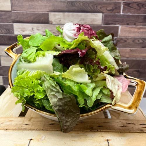 Baby_Leafs_2 Baby Leafs (Mischsalat) – Bild 1