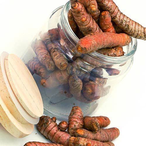 Kurkuma_3 Kurkumawurzel, BIO – Bild 1