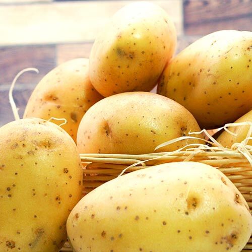 Mehligkochende_Kartoffeln_1 Mehligkochende Kartoffeln (1,5kg Beutel) – Bild 1