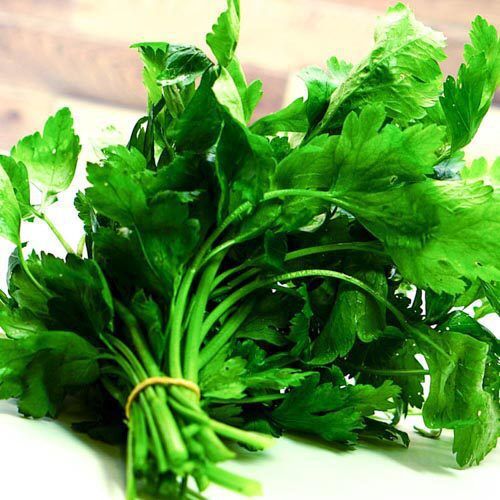 Petersilie (große Portion), Bundware – Bild 1