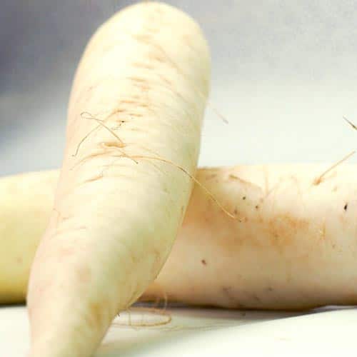 Radi_Weiss_1 Weißer Rettich (Brotzeitradi) – Bild 1