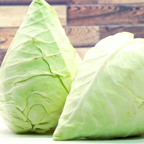 Spitzkraut – Bild 1