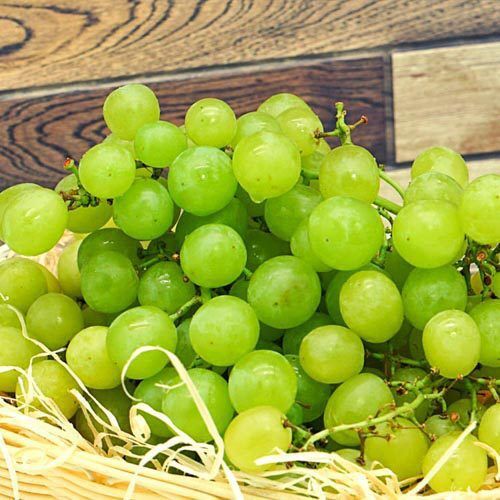 Gruene_Trauben_1 Grüne Trauben, kernlos – Bild 1