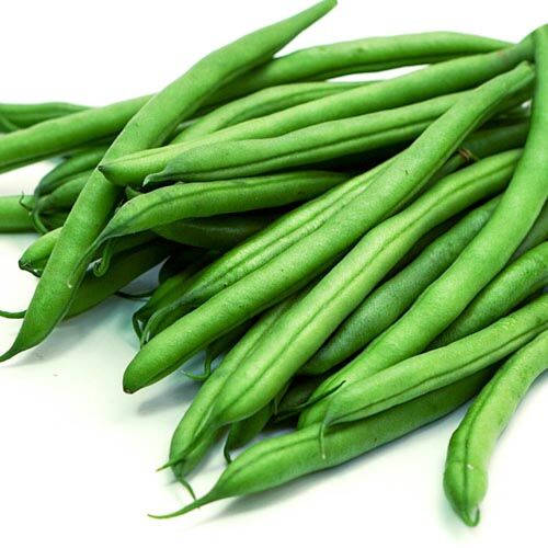 6.2 Buschbohnen – Bild 1