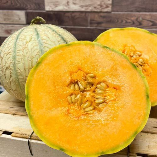 Charantaisemleonen_7 Halbe Charantaise Melone – Bild 1