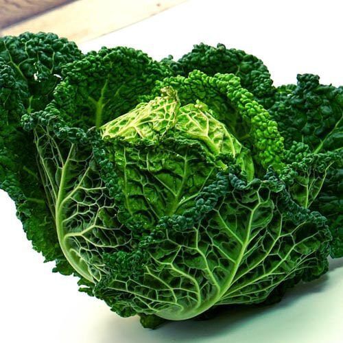 Wirsing_1 Wirsing – Bild 1