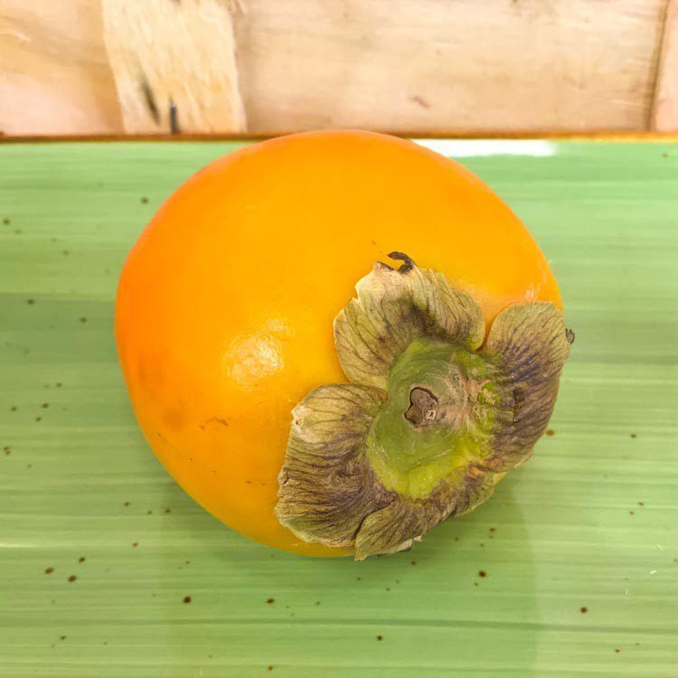 Sharon_1 Sharon/Kaki – Bild 1